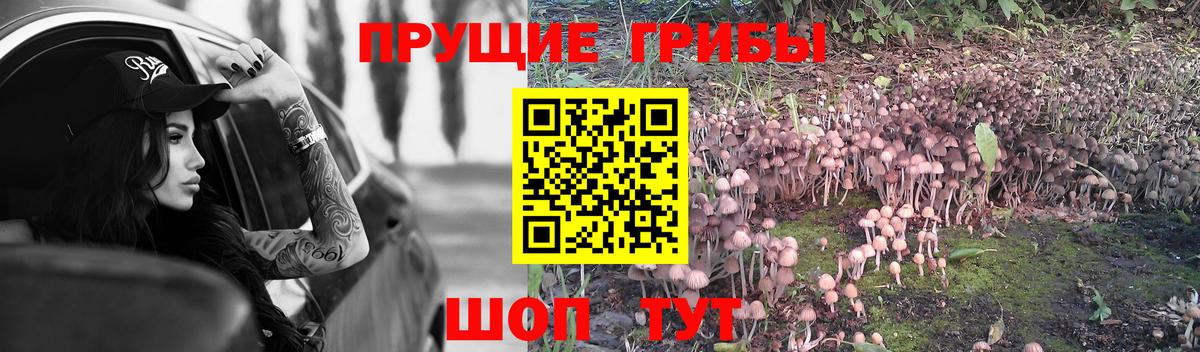 Анжеро-Судженск  Галлюциногенные грибы мицелий  Вход с VPN  Псилоцибиновые грибы Magic Shrooms 